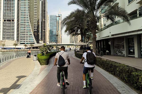 Highlights highlights