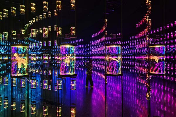 Museum of the Future tickets Museum of the Future tickets